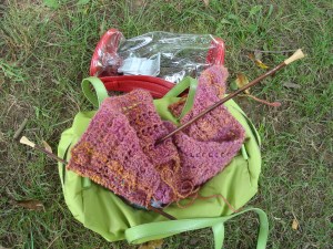 knitting in the park in P